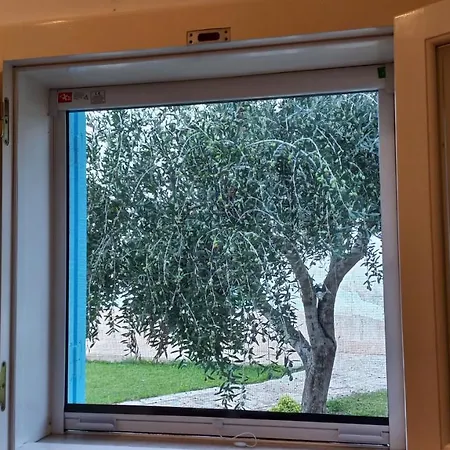 Panzió Villino Tronchetto Bianco Mola di Bari