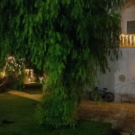 Panzió Villino Tronchetto Bianco *